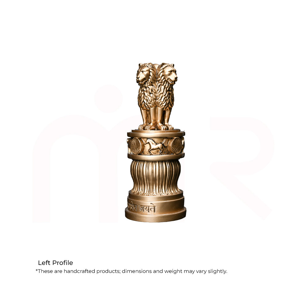 Ashoka Stambh  - Government Support