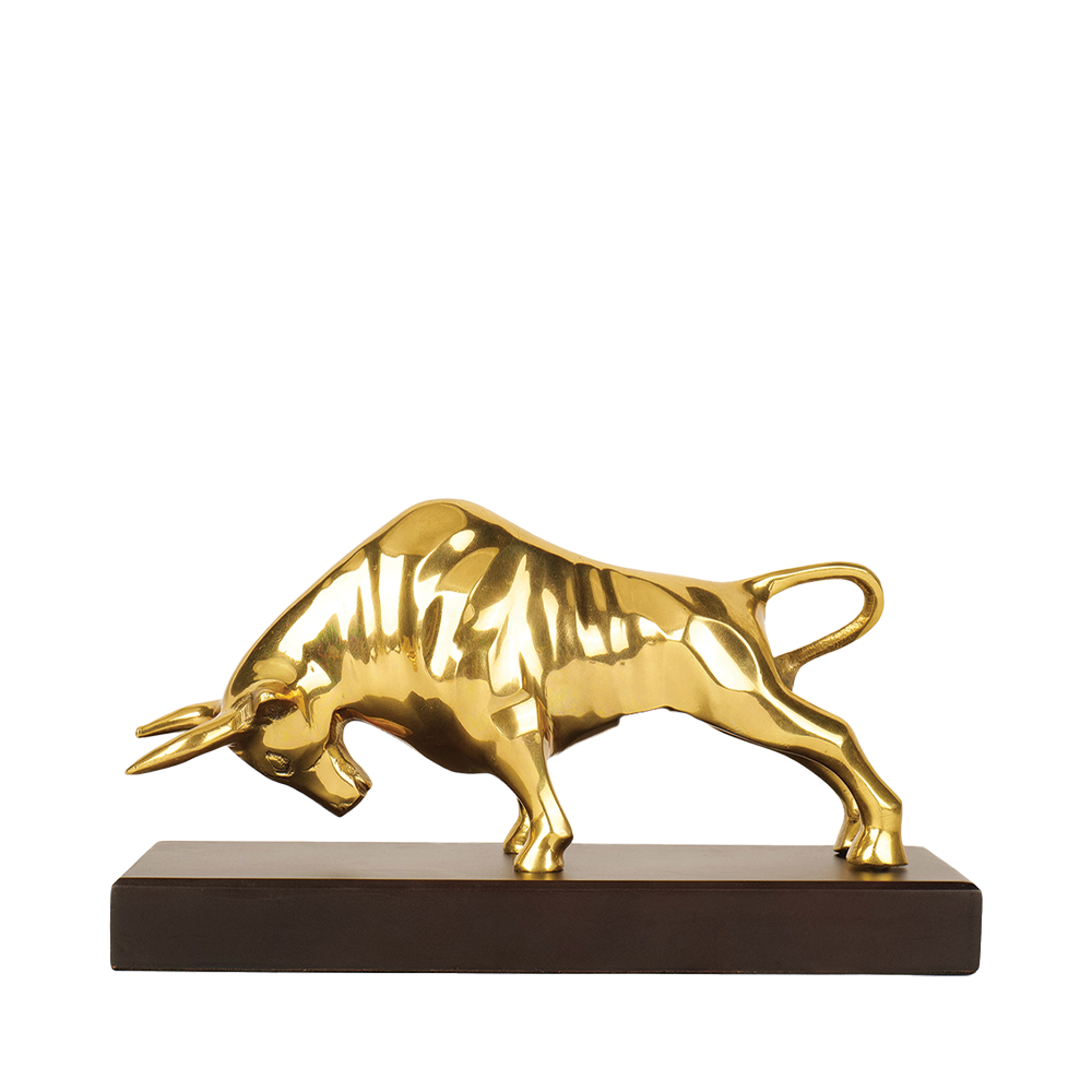 Charging Bull - Wealth Decisions