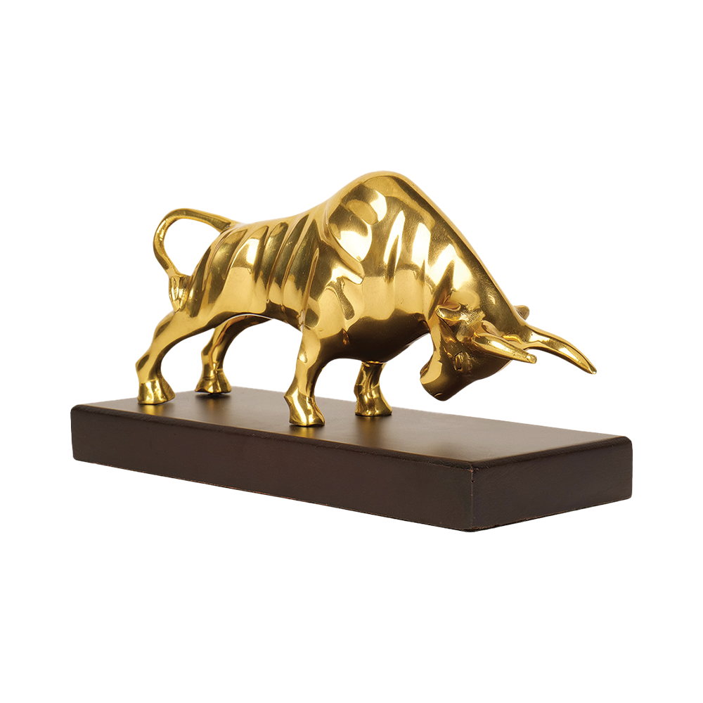 Charging Bull - Wealth Decisions