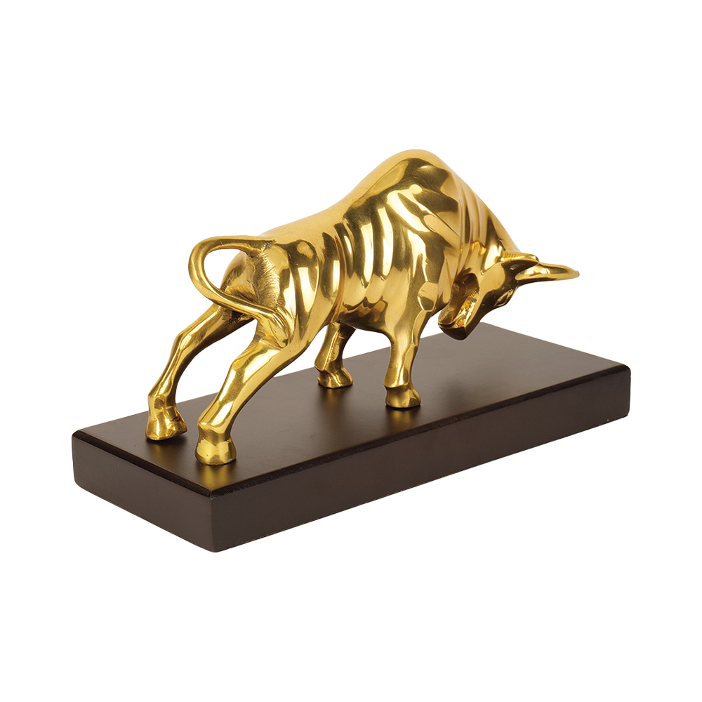 Charging Bull - Wealth Decisions