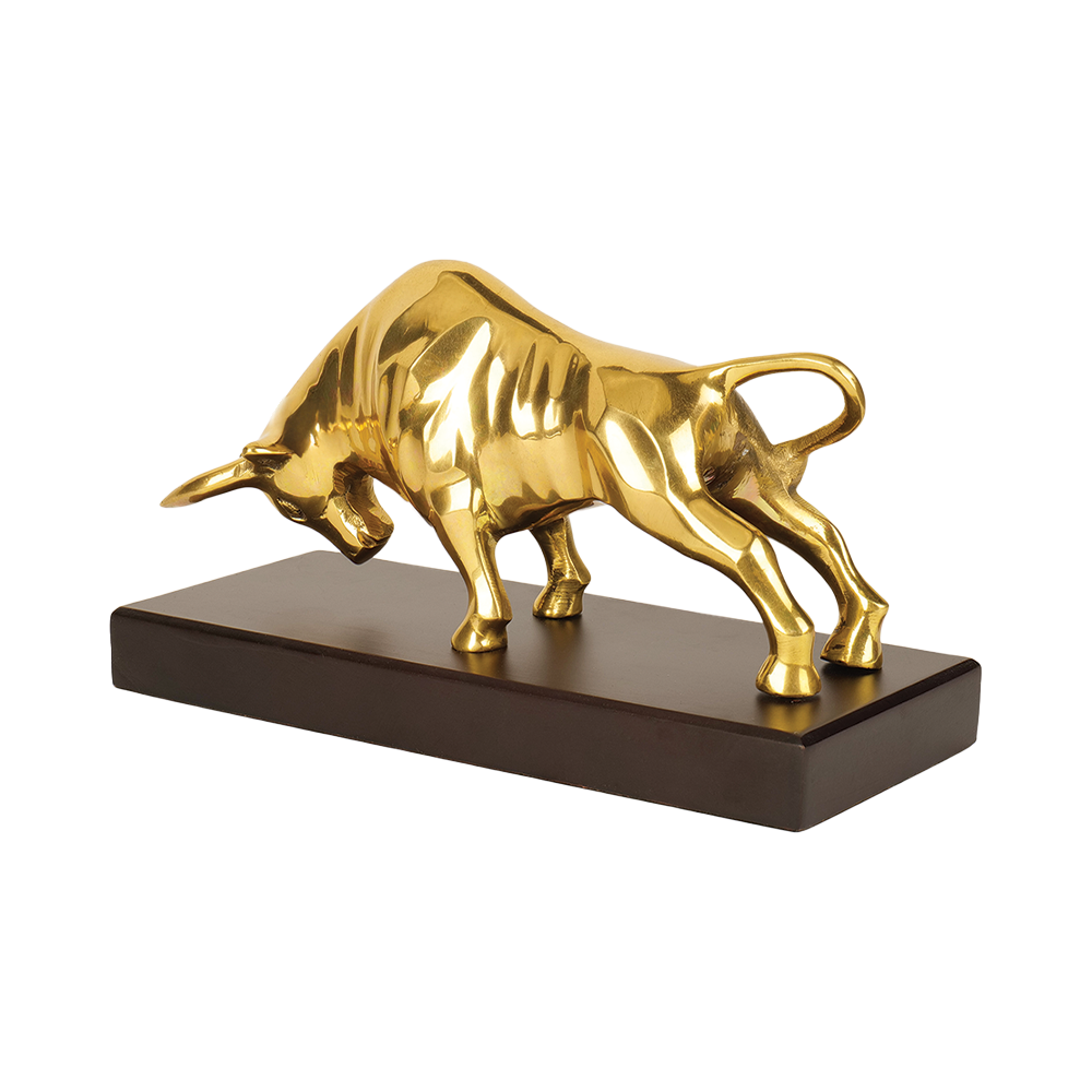 Charging Bull - Wealth Decisions