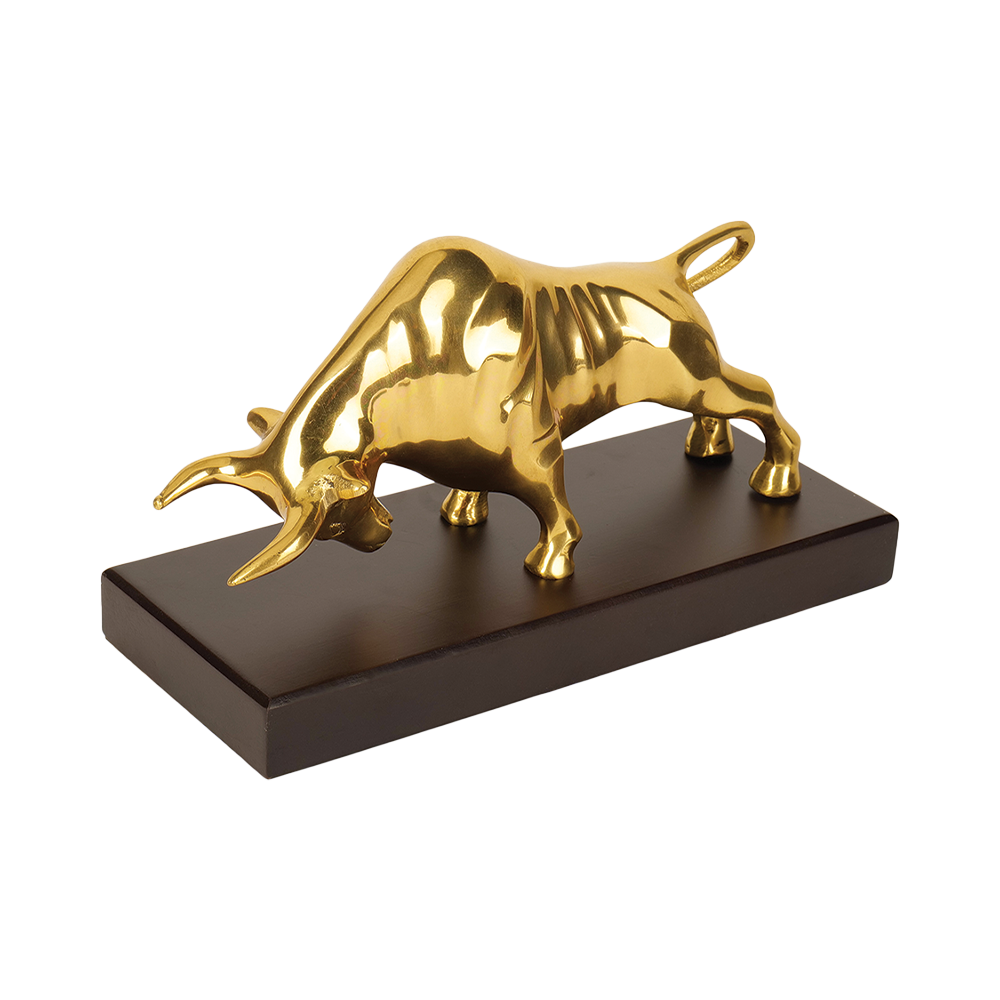 Charging Bull - Wealth Decisions