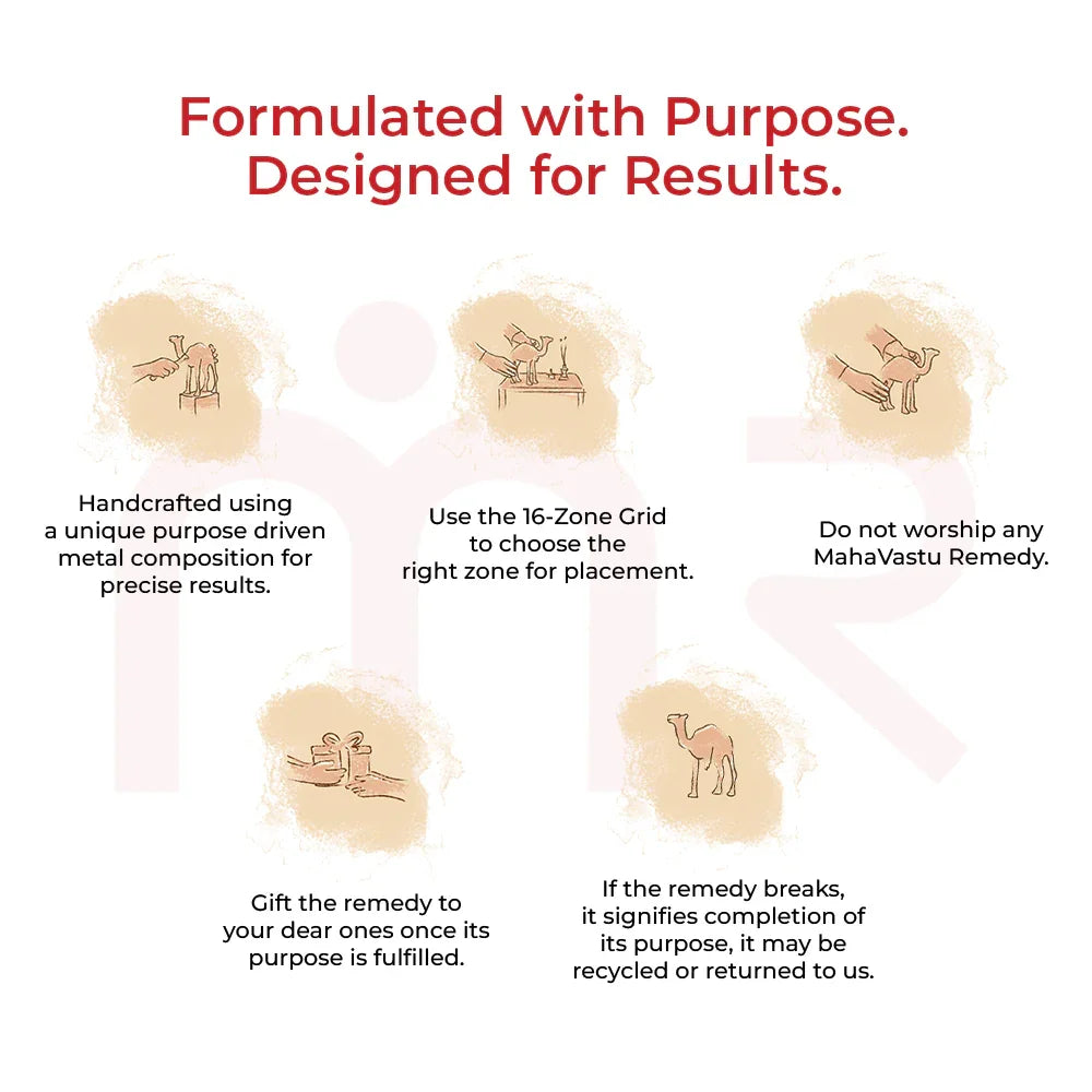 MahaVastu remedies instructions with camel illustrations, zone grid, and purpose-driven tips.