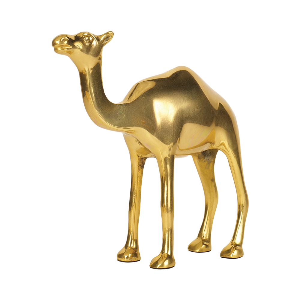Camel - Multiply Profits & Gains