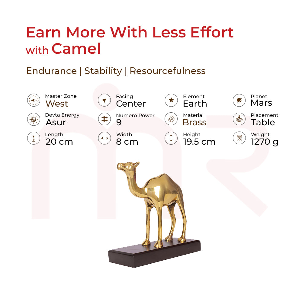 Camel - Earn More With Less Effort