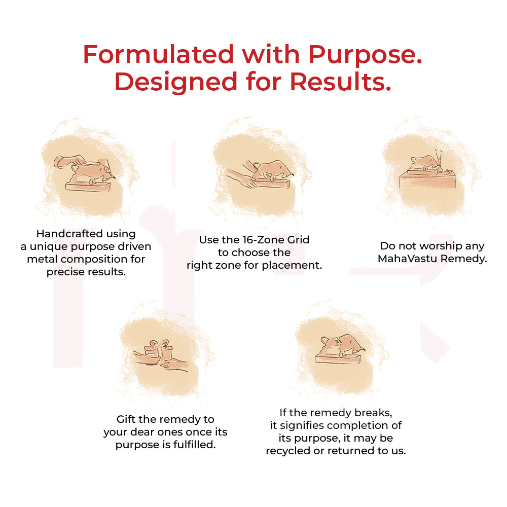 Instructions for MahaVastu remedy use with illustrated steps and key usage tips.