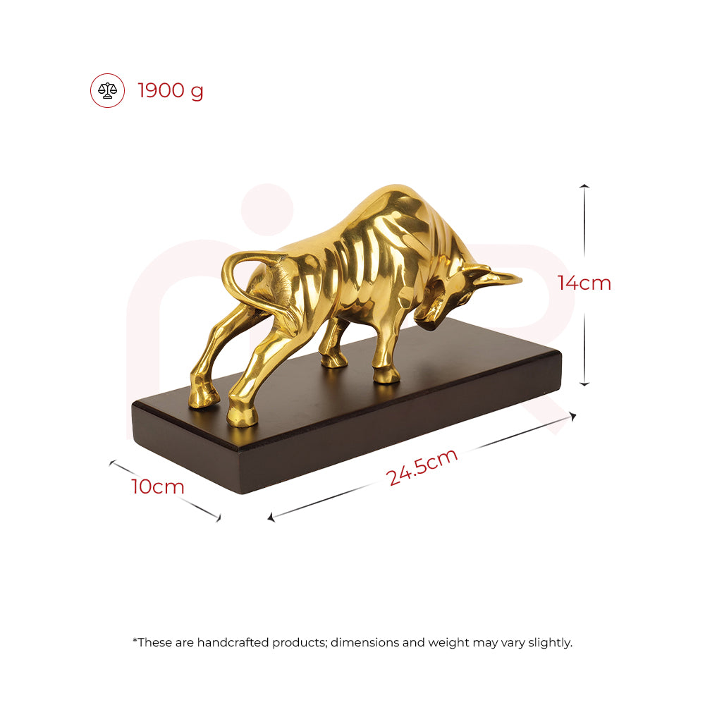 Charging Bull - Wealth Decisions