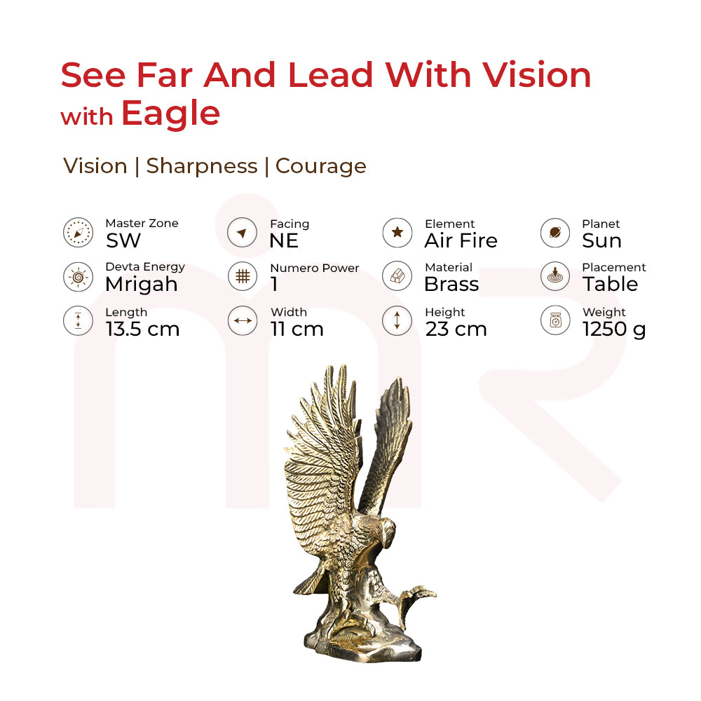 Eagle - See Far And Lead With Vision