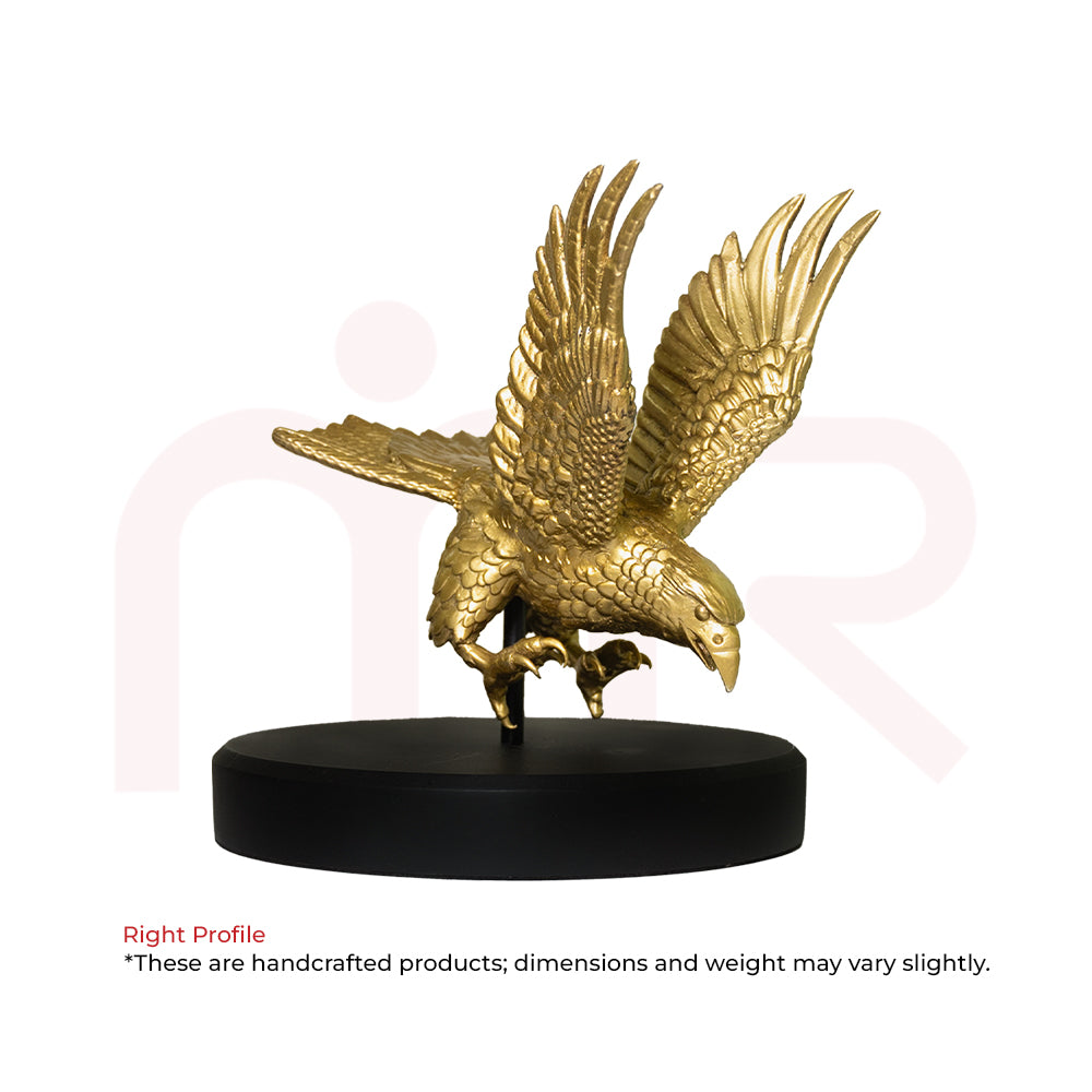 Eagle - See Far And Lead With Vision