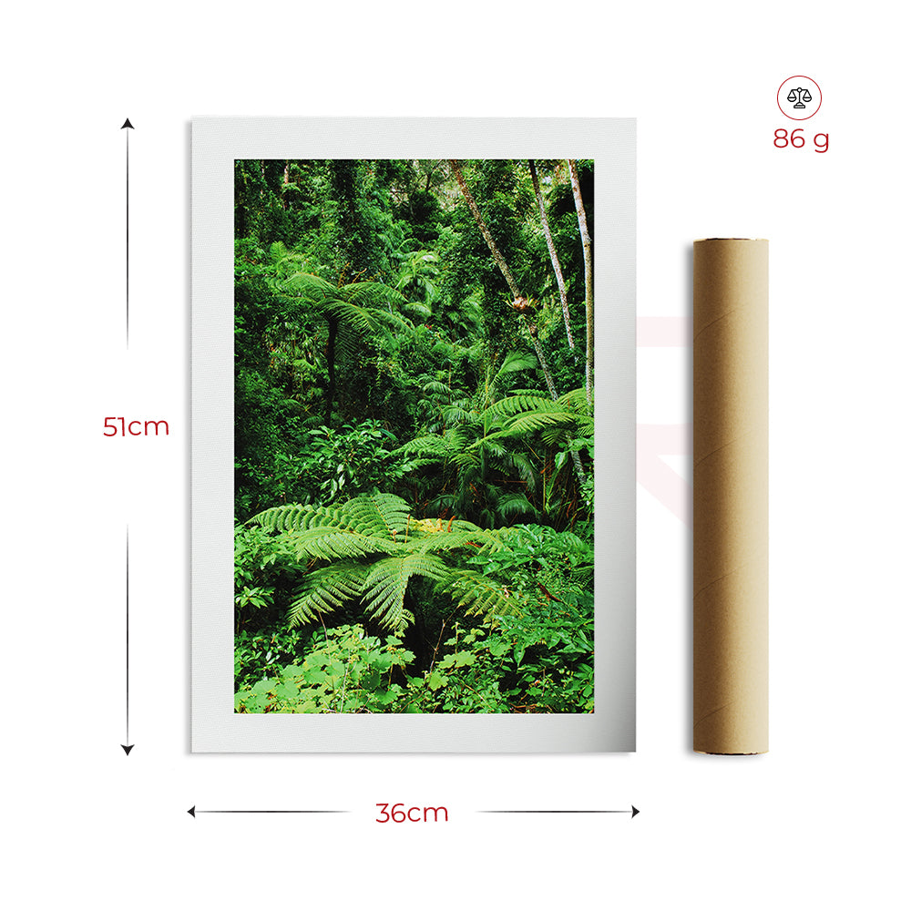 Vastu painting of lush green forest with rolled canvas, 51x36cm wall art for positivity