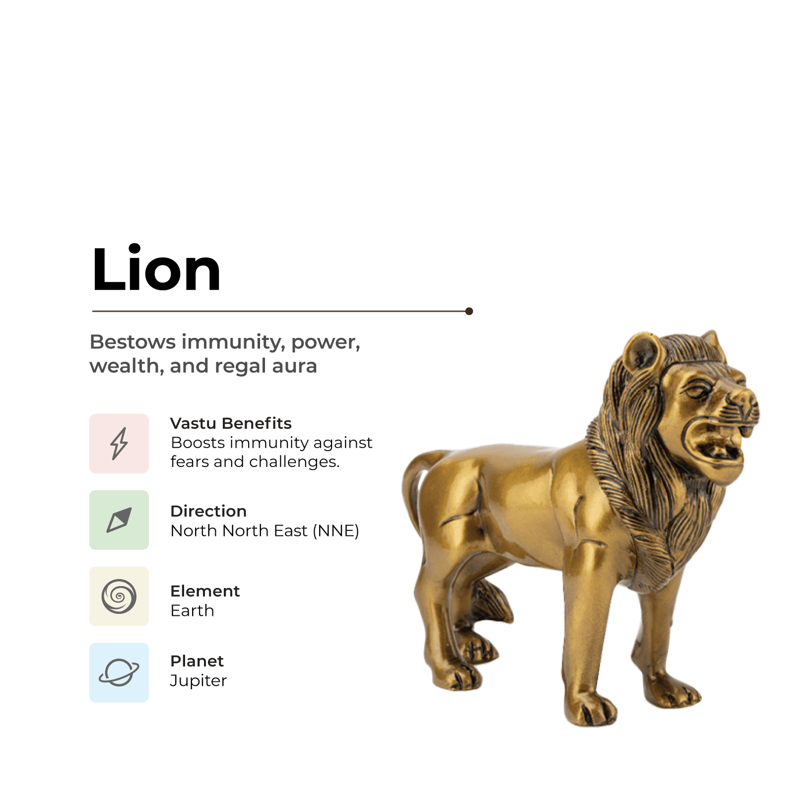 Lion - Makes you Powerful & Majestic