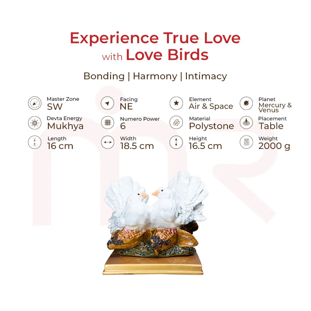 Love Birds/White Pigeons - Experience True Love