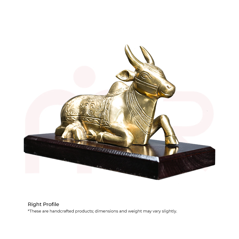 Nandi - Secures your Business