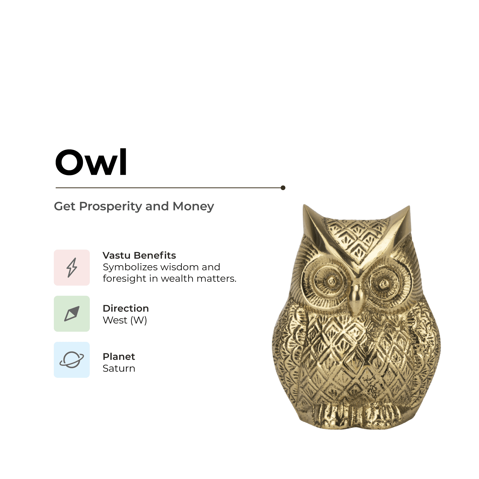 Owl - Sharpens the Vision