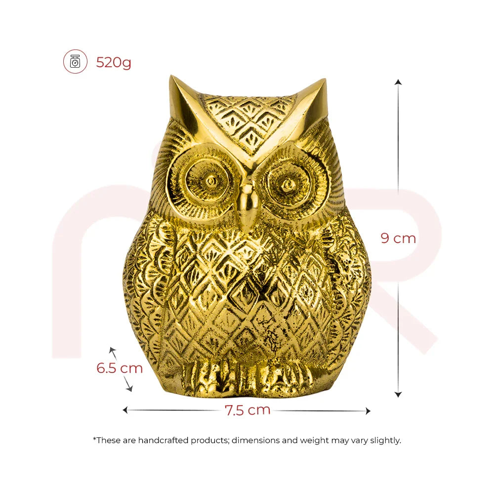 Owl - Sharpens the Vision