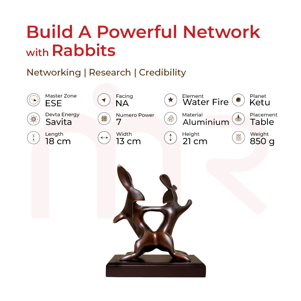 Rabbits - Build A Powerful Network