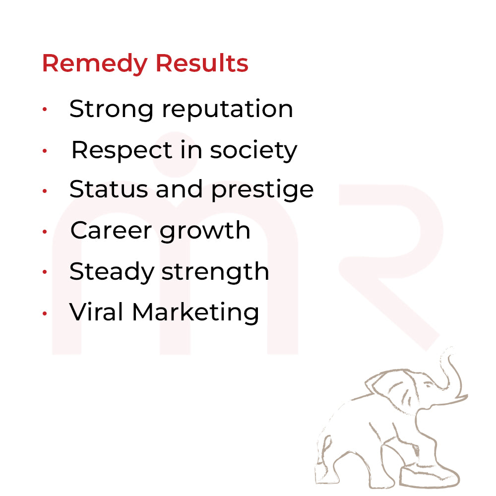 Red Elephant - Earn Fame And Recognition