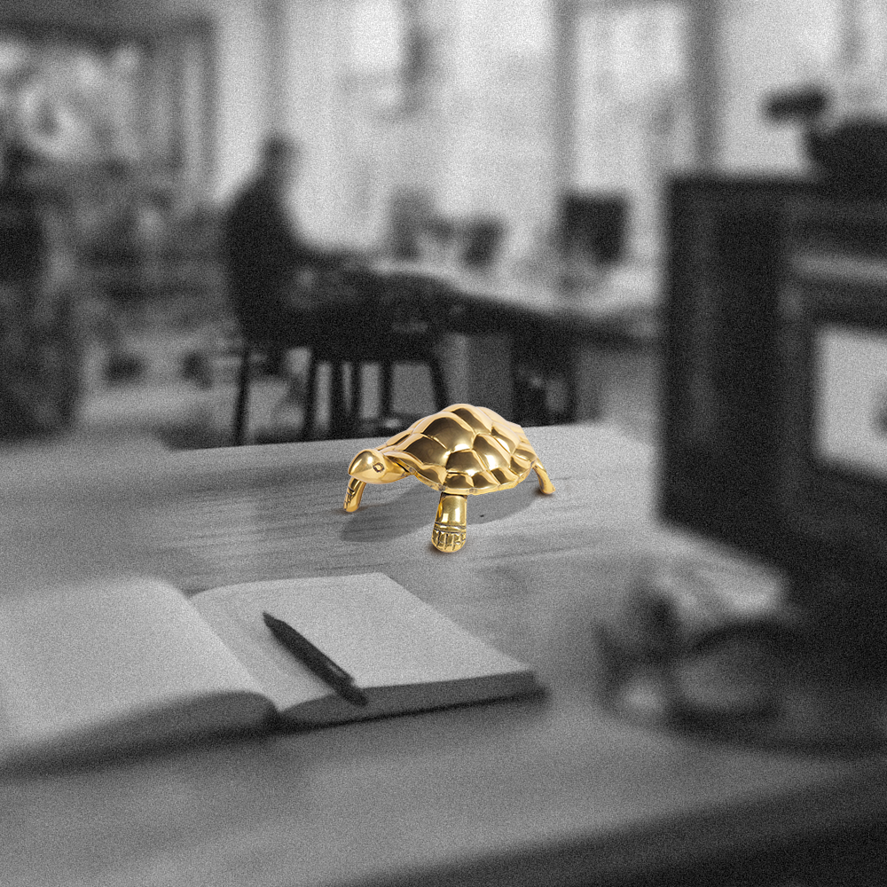 Tortoise - Unstoppable Victory through Patience and Perseverance