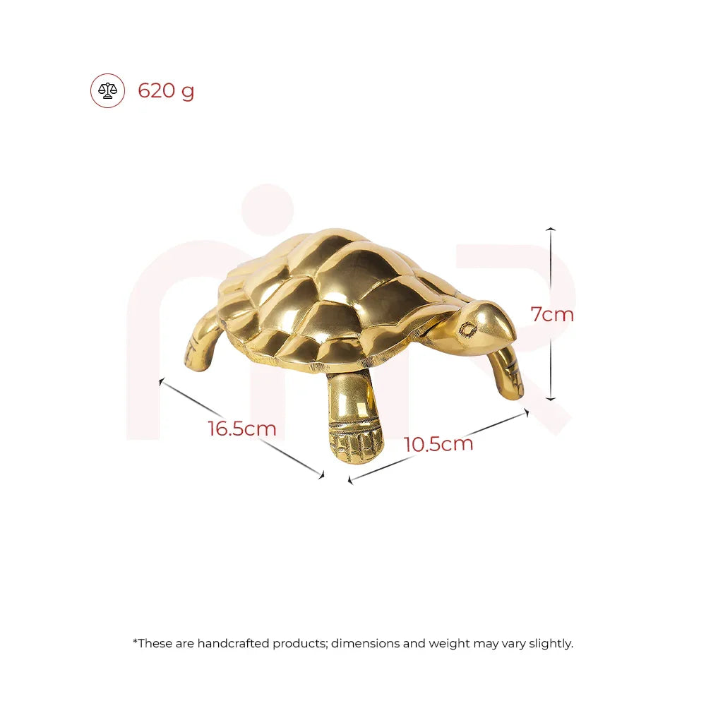 Tortoise - Unstoppable Victory through Patience and Perseverance
