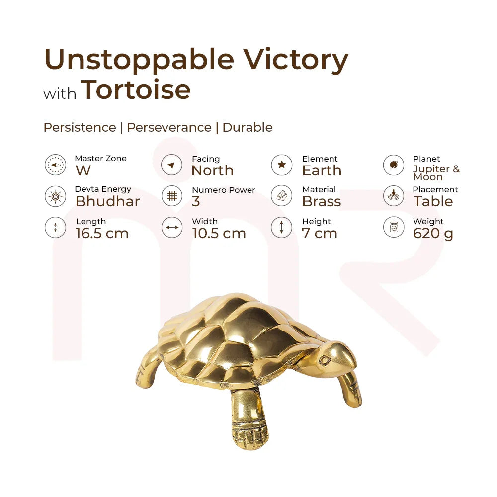Brass tortoise MahaVastu remedy for home, Vastu decor, brings persistence and positivity.
