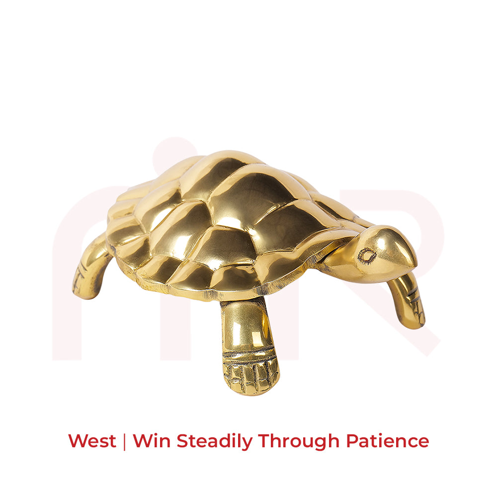 Tortoise - Win Steadily Through Patience