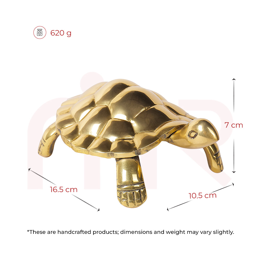 Tortoise - Win Steadily Through Patience