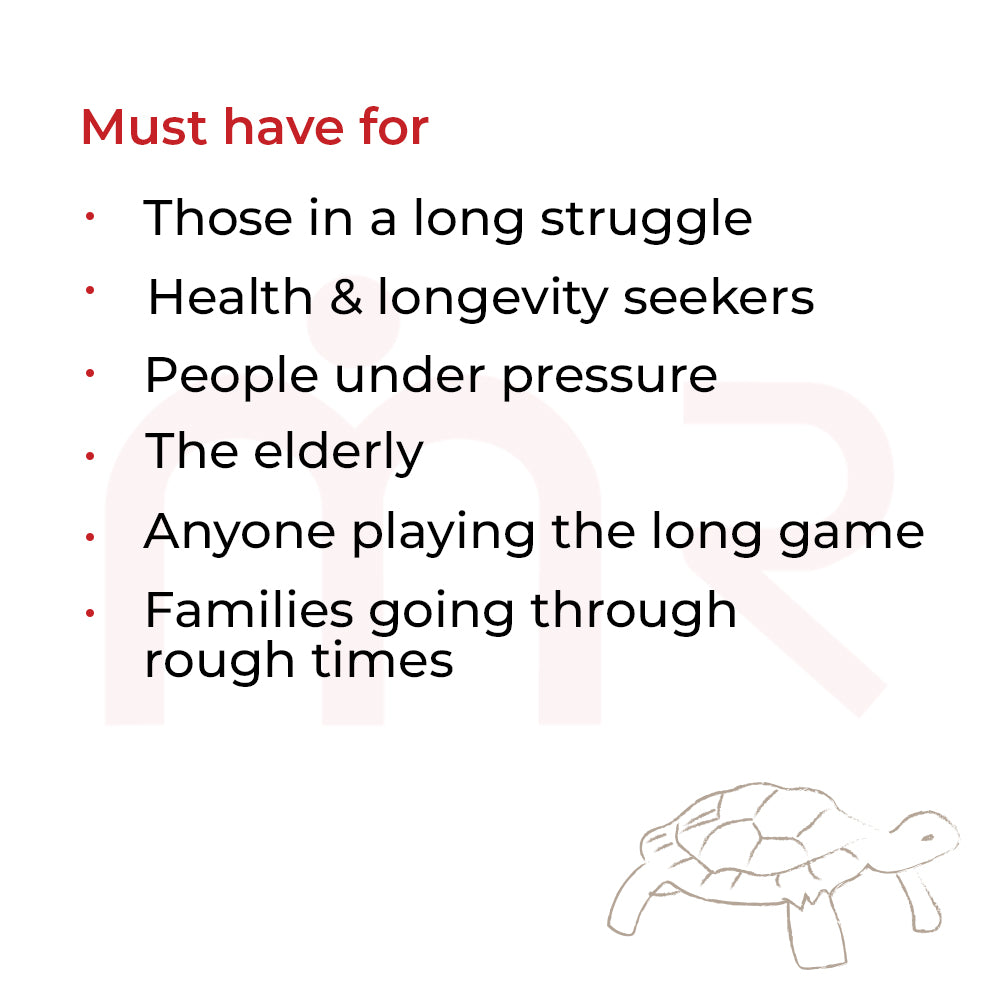 Tortoise - Win Steadily Through Patience