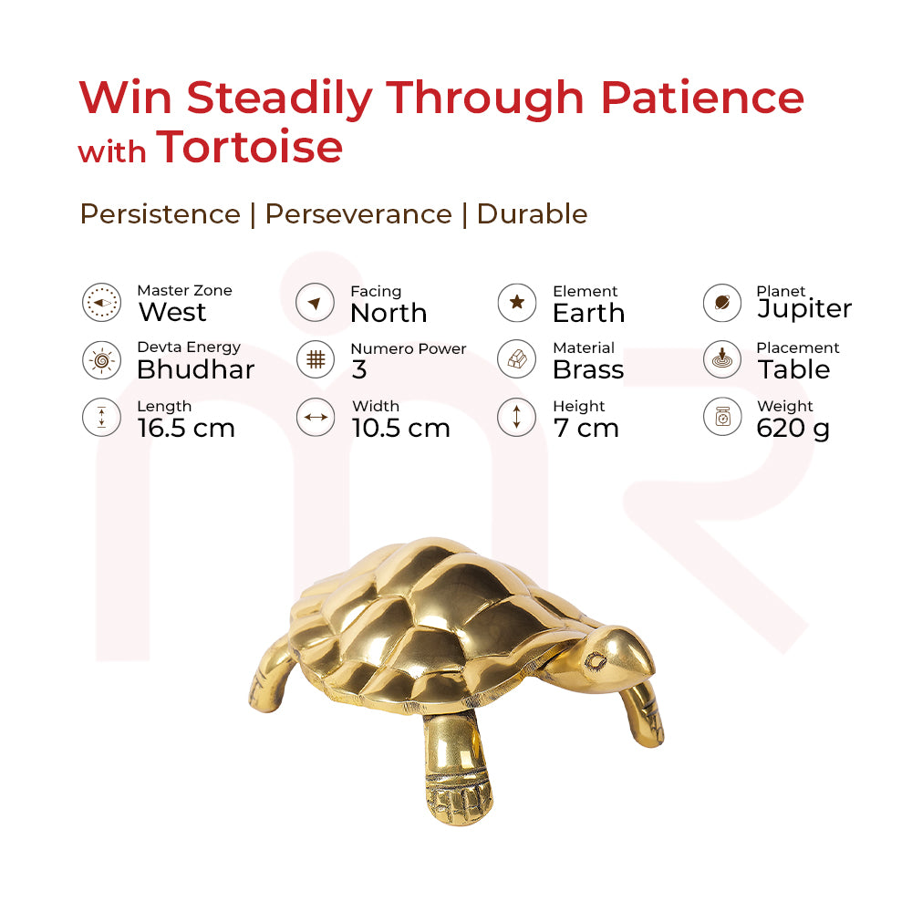Tortoise - Win Steadily Through Patience