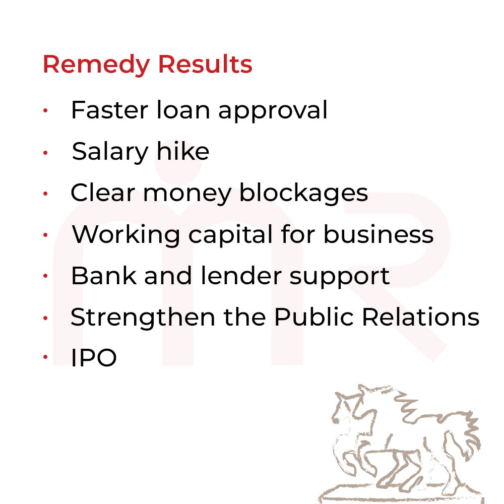 White Horses - Easy Loans And Funds